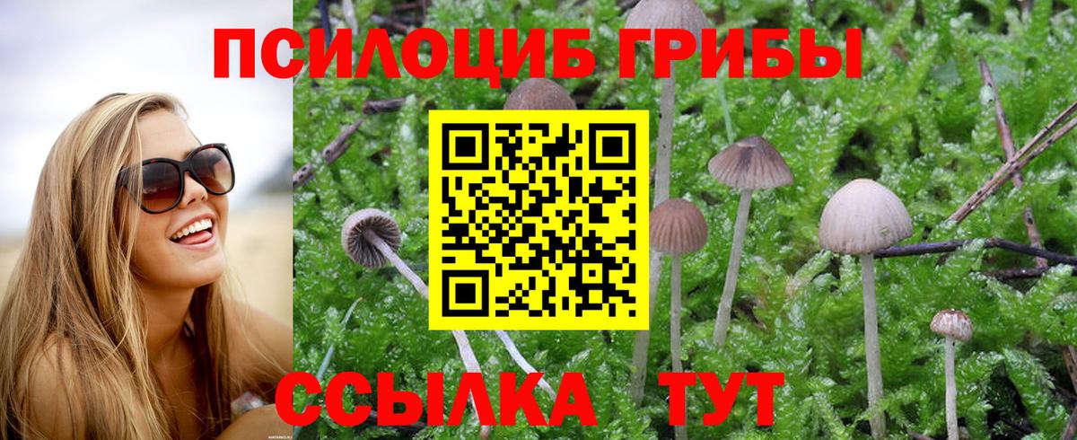 Галлюциногенные грибы GOLDEN TEACHER  Вход с VPN  Лесной 
