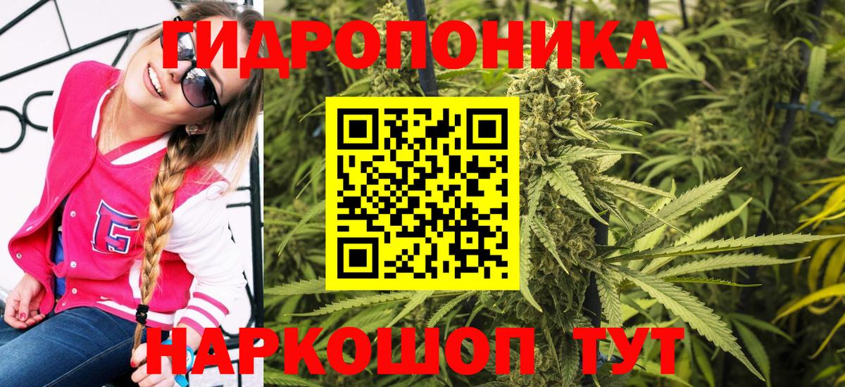 Лесной  МАРИХУАНА THC 21%  Бошки Шишки план  Вход с VPN  Бошки Шишки Ganja 